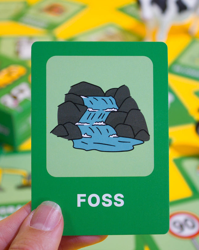 Car Bingo Board Game