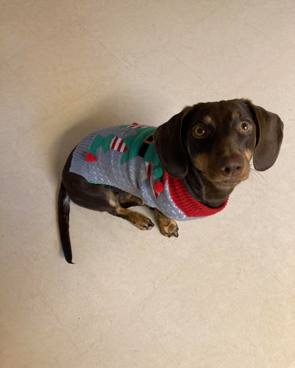Gray Dog Christmas Sweater