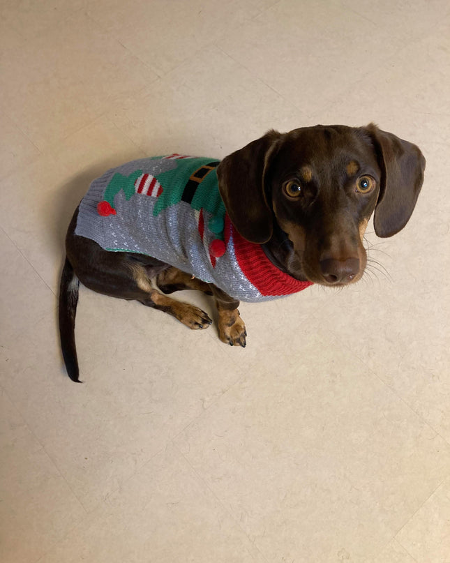 Gray Dog Christmas Sweater