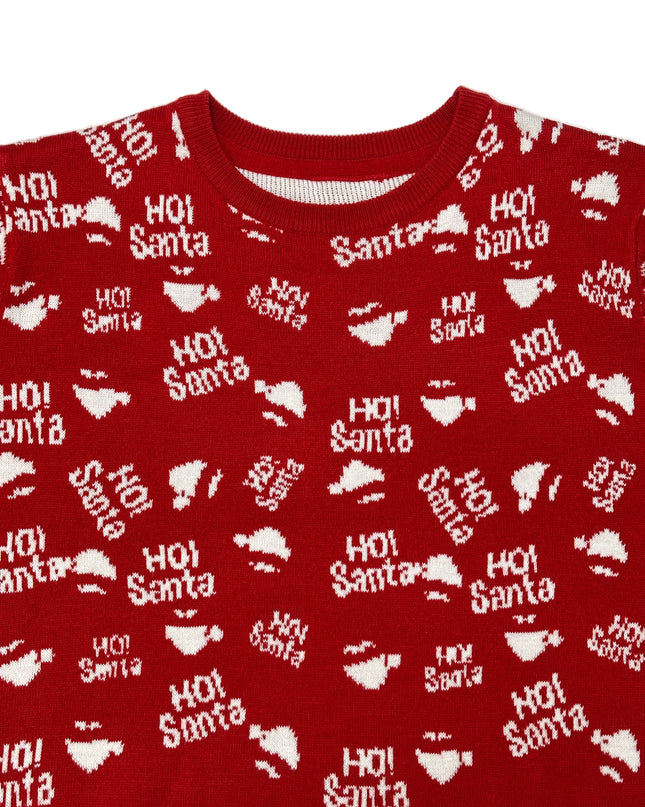 Vintage Christmas Sweater - Ho! Santa