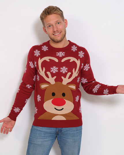 Cute Reindeer Christmas Sweater for Men