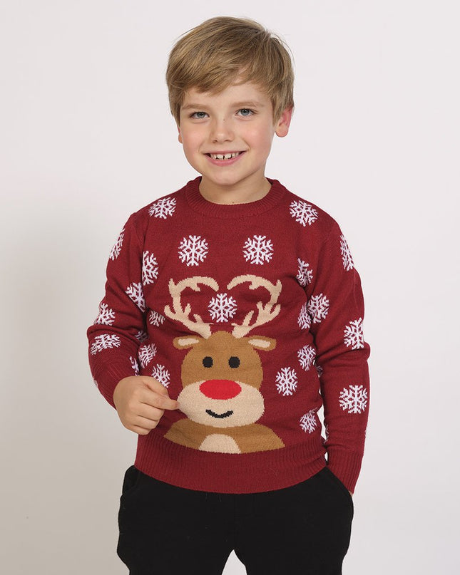 Cute Reindeer Christmas Sweater - Kids' Holiday Apparel