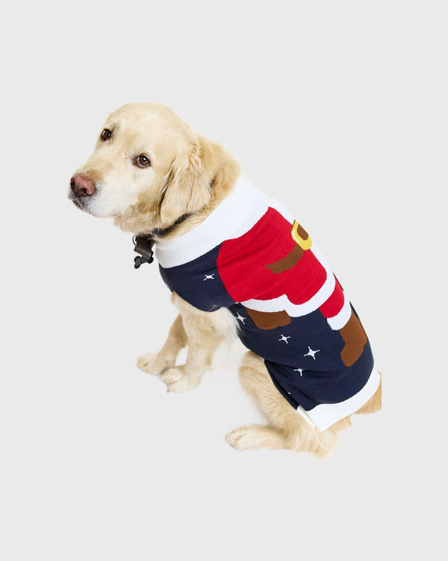 Little Helper Christmas Sweater - Pets