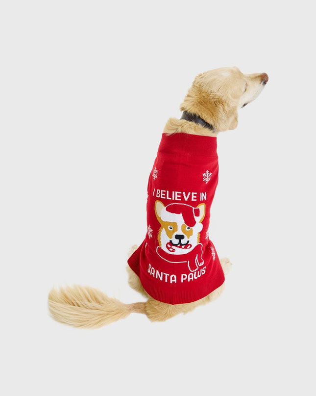 Santa Paws Christmas Sweater - Pets