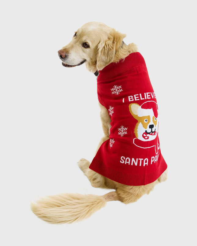 Santa Paws Christmas Sweater - Pets