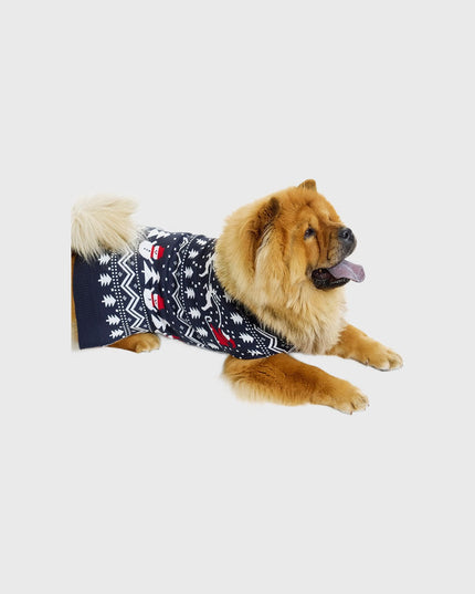 Stylish Pet Christmas Sweaters
