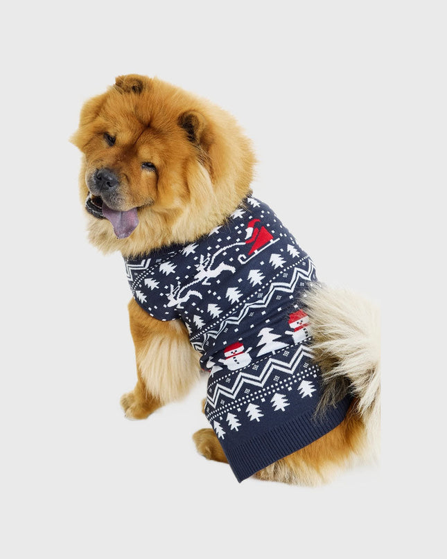 Stylish Pet Christmas Sweaters