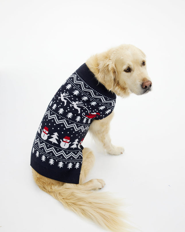 Stylish Pet Christmas Sweaters
