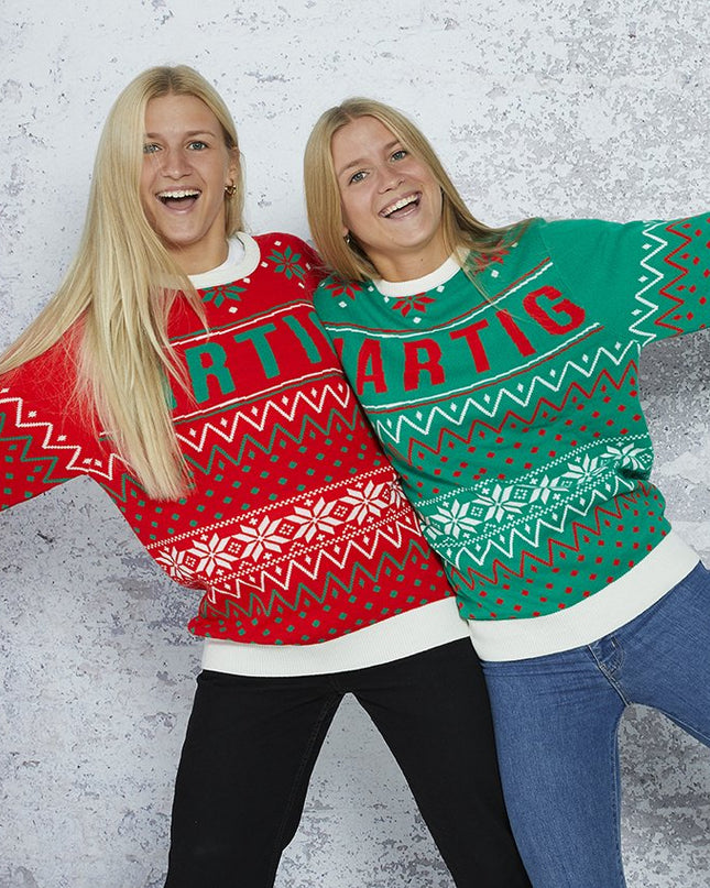 Twin Christmas Sweater for Men and Women