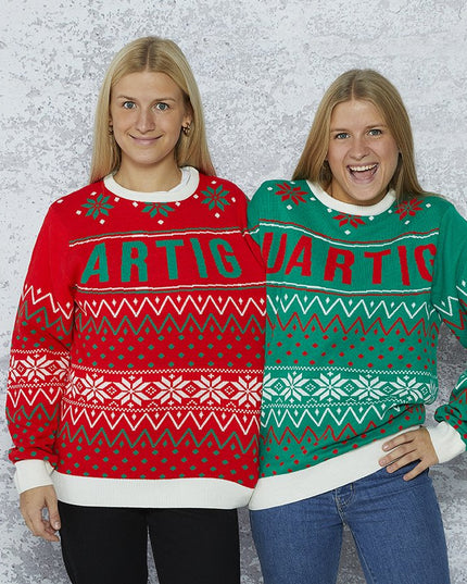 Twin Christmas Sweater for Men and Women
