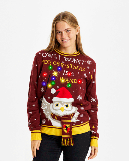 Owl I Want For Christmas Sweater - Women's Light-Up Style