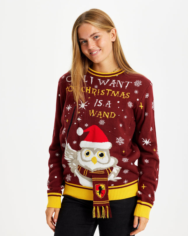 Owl I Want For Christmas Sweater - Women's Light-Up Style
