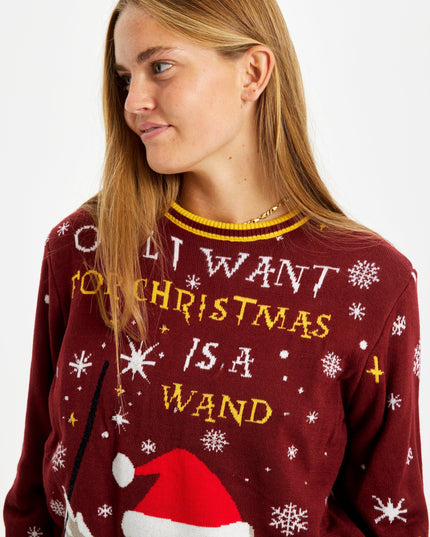 Owl I Want For Christmas Sweater - Women's Light-Up Style