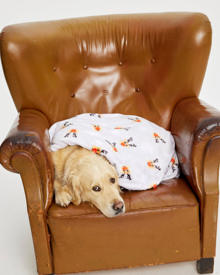 Christmas Blanket for Kids