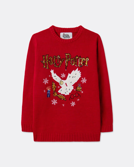 Kids' Harry Potter Christmas Sweater