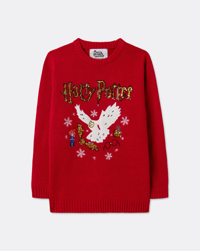 Kids' Harry Potter Christmas Sweater