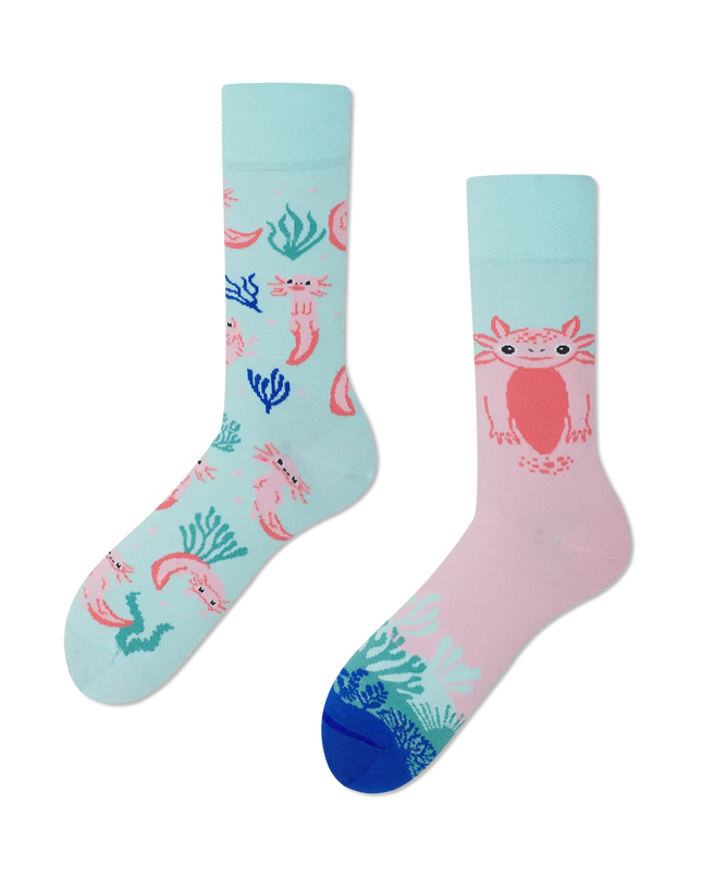 Many Mornings Socks - Axolotl Adventure | Tags: Christmas Socks