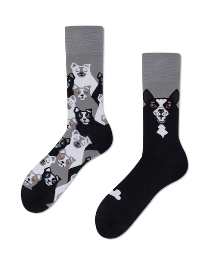 Many Mornings Socks - Musta Koira Design