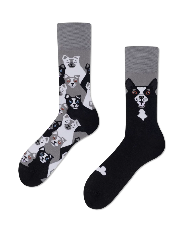 Many Mornings Socks - Musta Koira Design