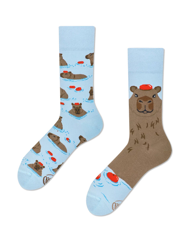 Many Mornings Socks - Capybara