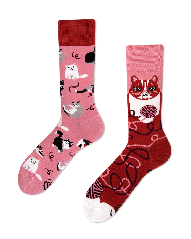 Many Mornings Zokni - Playful Cat Fun Socks Collection