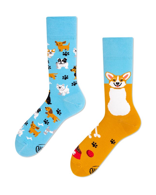Many Mornings Zokni - Playful Dog Fun Socks Collection