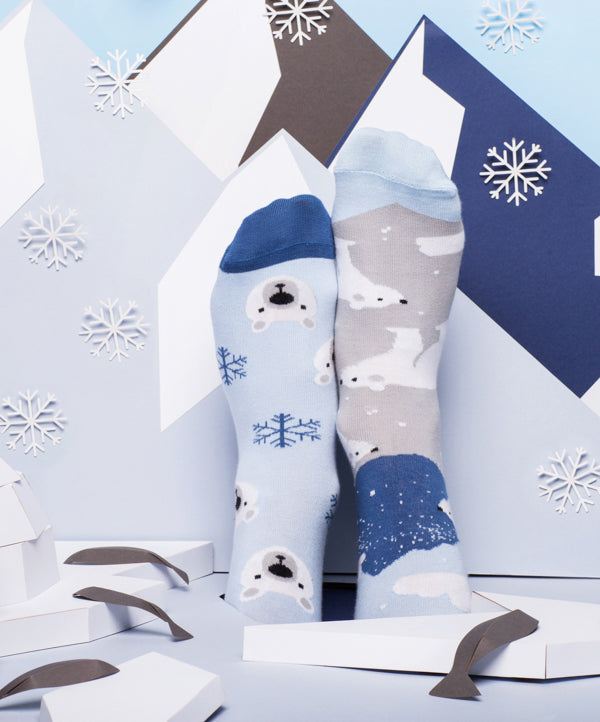 Polar Bear Christmas Socks for Everyone