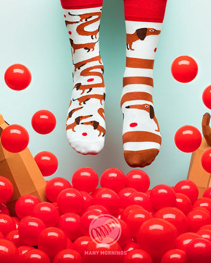 Many Mornings Zokni - Sausage Dog Fun Socks Collection