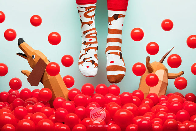 Many Mornings Zokni - Sausage Dog Fun Socks Collection