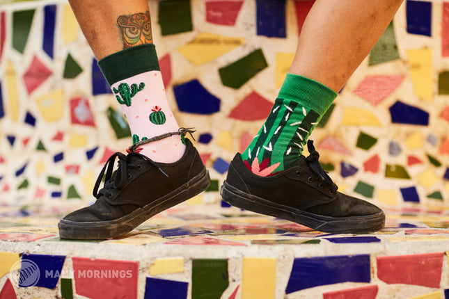 Many Mornings Zokni - Summer Cactus Fun Socks for Everyone