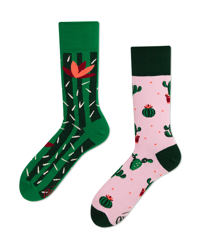 Many Mornings Zokni - Summer Cactus Fun Socks for Everyone