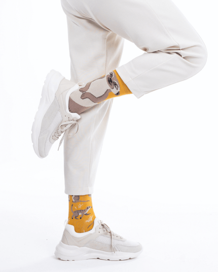 Meerkat Christmas Fun Socks Collection