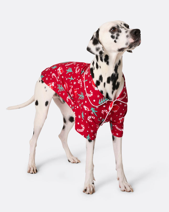 Dogs Red Christmas Pattern Family Pyjamas