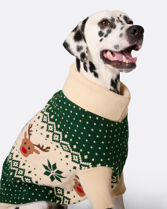 Matching Family Christmas Sweaters - Green Retro Reindeer