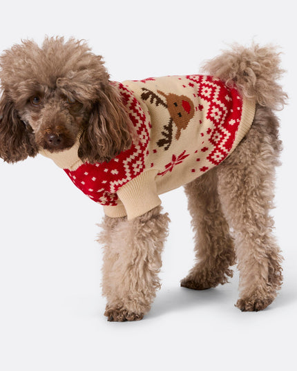 Dogs' Red Retro Reindeer Christmas Sweater