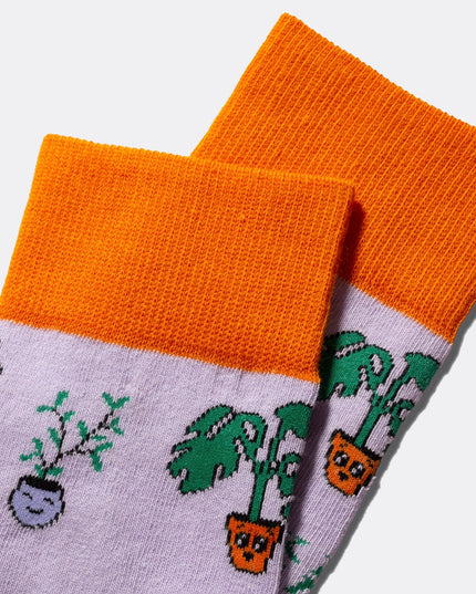 Plant Socks