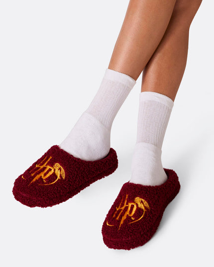 Harry Potter Slippers