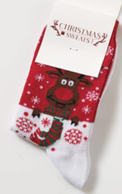 Rudolph's Christmas Socks for Kids