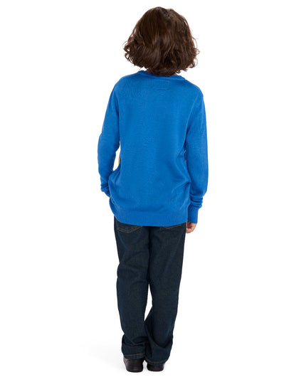 Boy's Jewnicorn Sweater