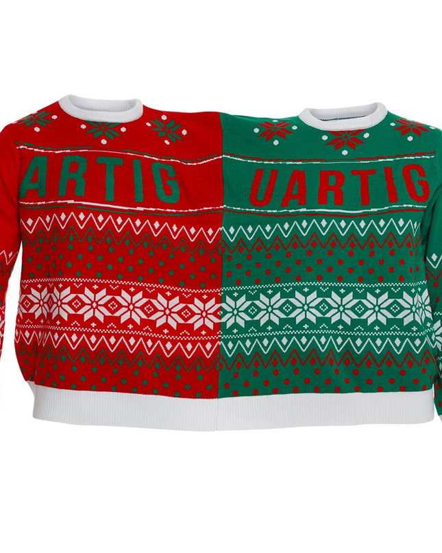 Twin Christmas Sweater for Men and Women