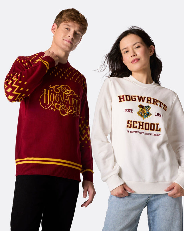 Men's Hogwarts School Sweatshirt