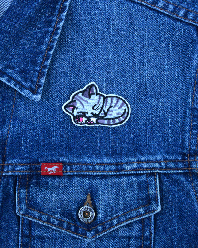 Nukkuva Kissanpentu Korjaus