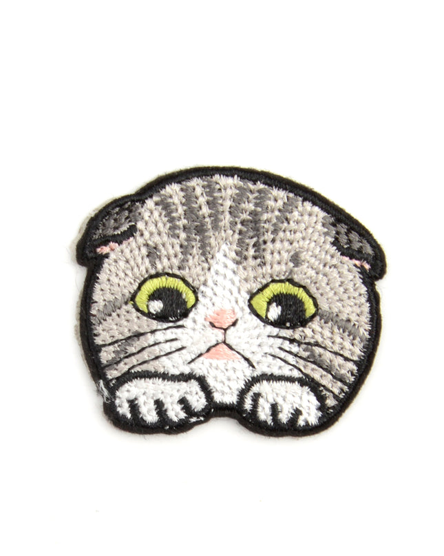 Silityskorjauslaastari - Scottish Fold