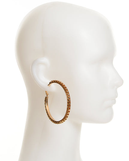 Hoop Earrings - Chain