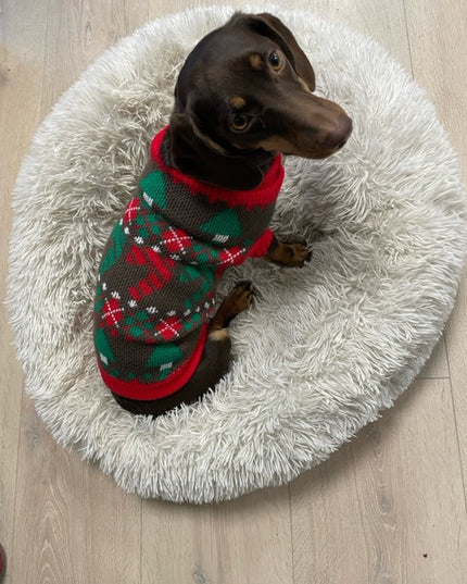 Brown Dog Christmas Sweater