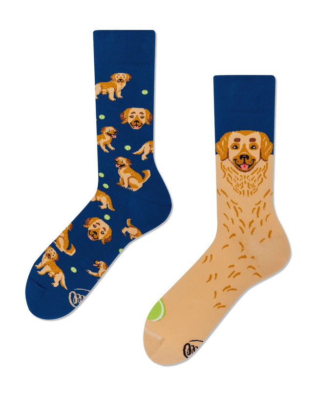 Many Mornings Socks - Golden Boy