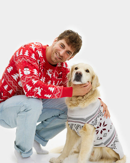 Gray Dog Christmas Sweater with Polar Star Design