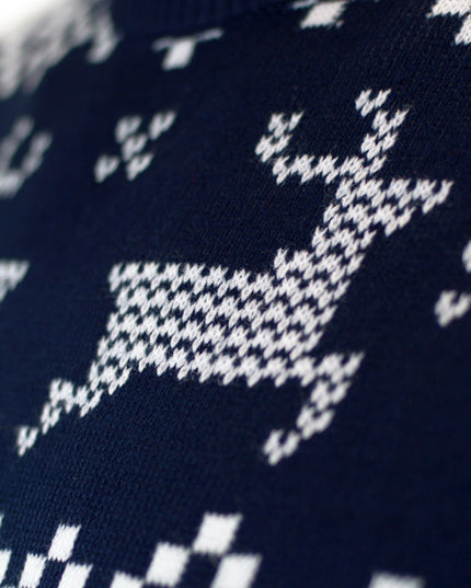 Blue North Pole Couple Christmas Sweater