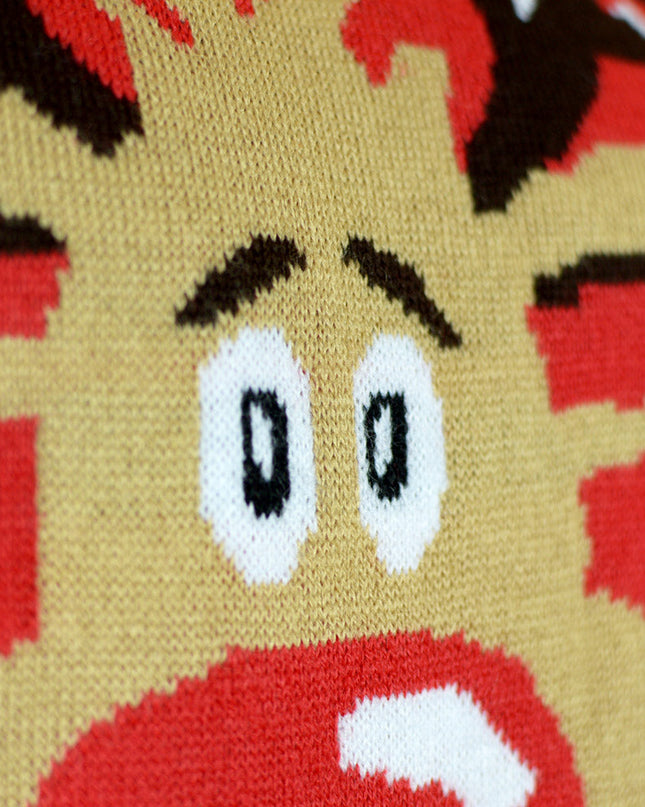 Family Christmas Sweater with Reindeer and Scarf